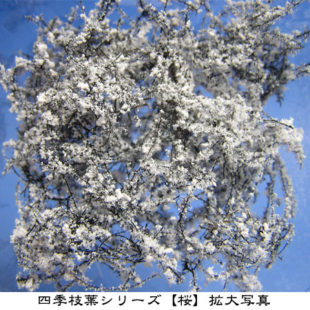 四季枝葉シリーズ『桜』拡大画像