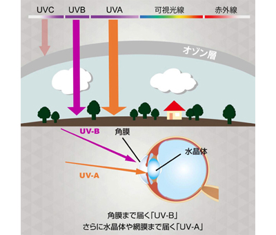 【ASAHI】UV3G Hyper Protection Lens 国産（単焦点）レンズ